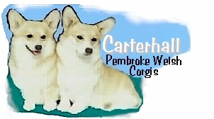 Logo05052000.jpg (39847 bytes)